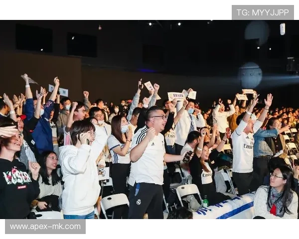 欧洲杯球迷村点燃激情，万千球迷共襄足球盛宴