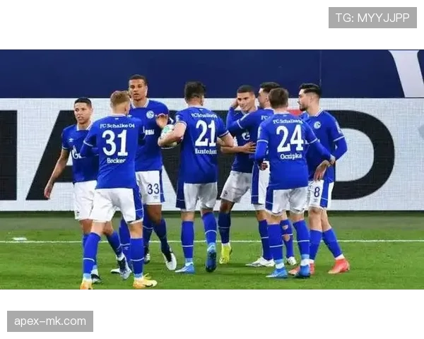 沙尔克04防线坚如磐石，防守数据创赛季新高