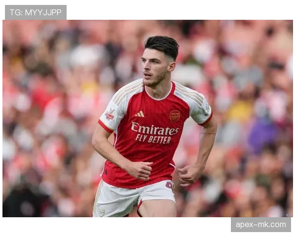 赖斯在英格兰队的战术角色与核心价值解析